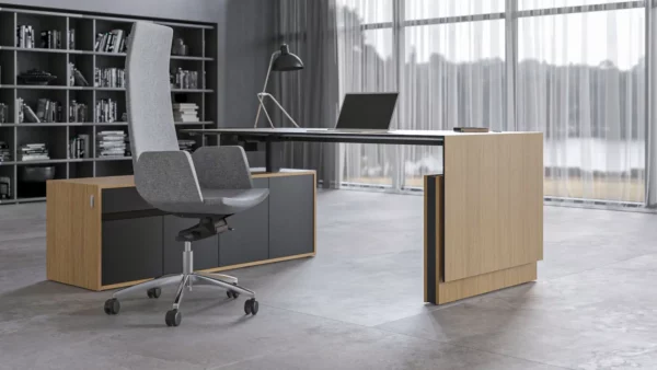 Bureau-Direciton-MOTION-Executive