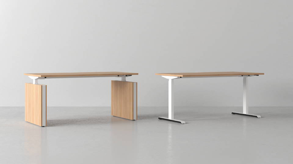 COLLECTION MOTION – Image 2