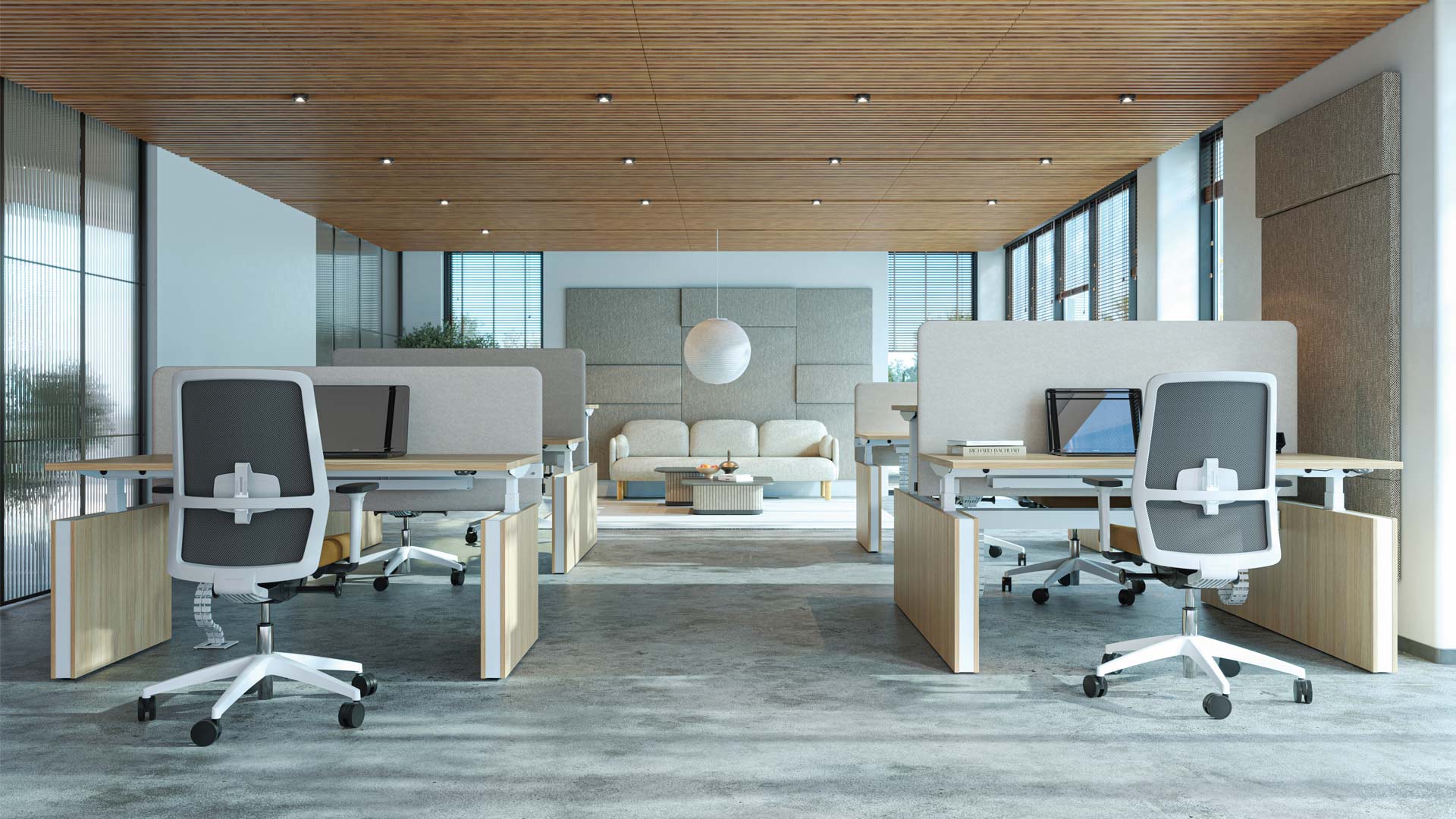 COLLECTION MOTION – Image 3