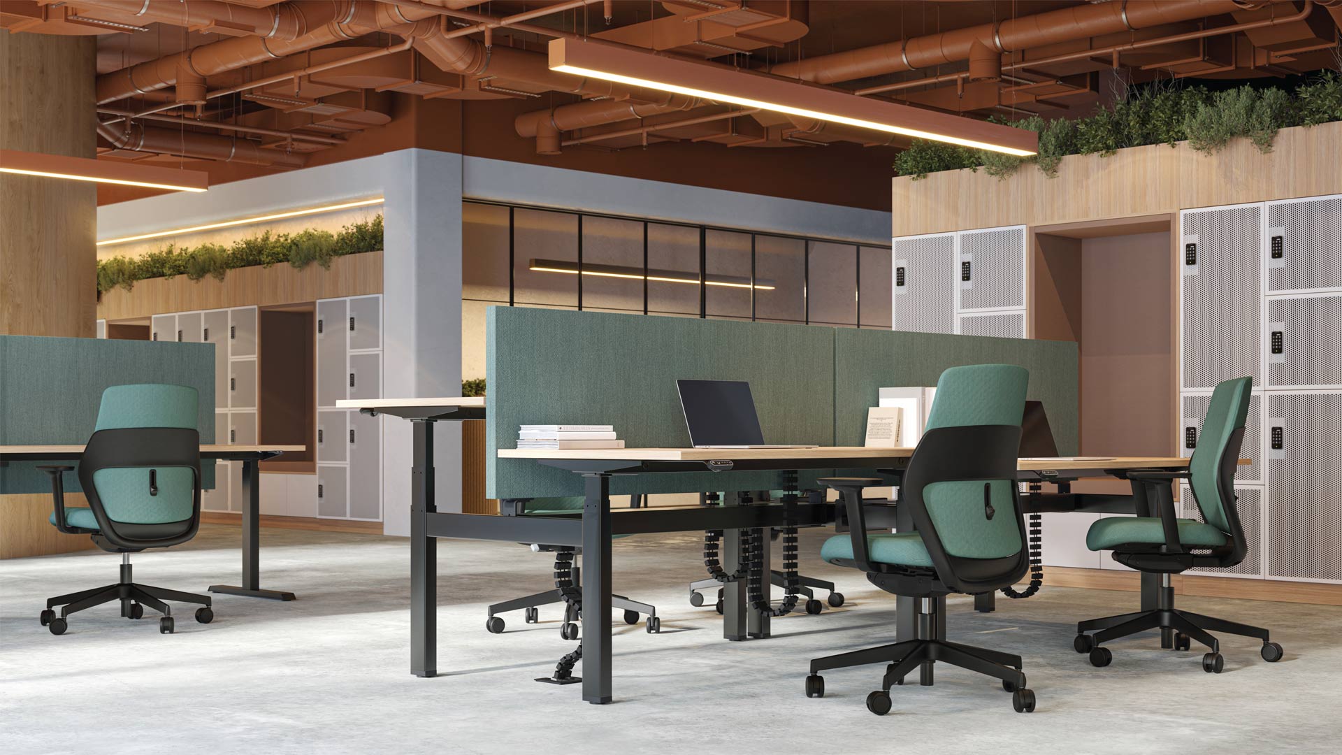 COLLECTION MOTION – Image 4