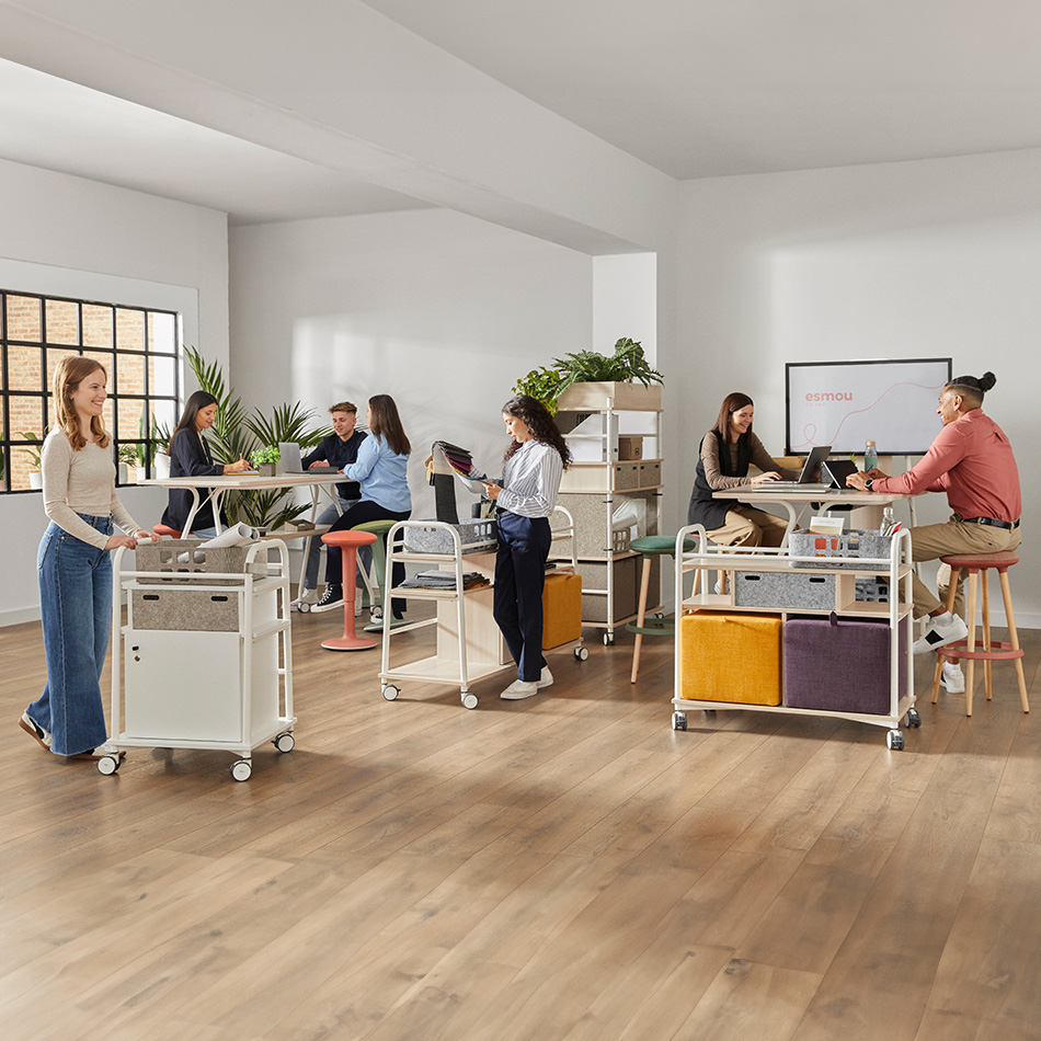 GAMME ESMOU – Image 5